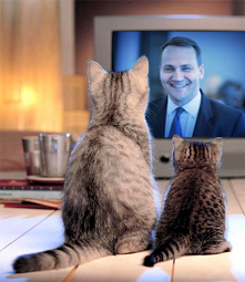 Płacisz?
" Nie mogę zapłacić za korzystanie z mediów, których nie słucham ani nie oglądam, gdyż nie pozwala mi na to klauzula sumienia. Wedle wszelkich relacji w alternatyw...