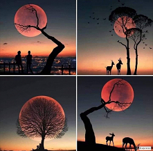 księżc
#księżyc #moon