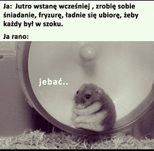 #takaprawda #teżtakmacie?