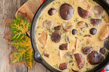 Polędwiczki w sosie musztardowym z grzybami