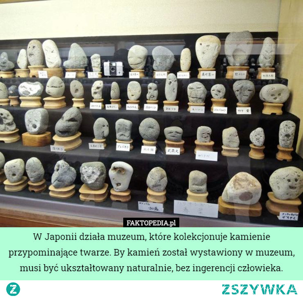 #japonia #muzeum