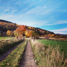 Jak polubić się z jesienią?...