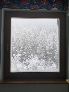 #pada#u#Was śnieg ❄