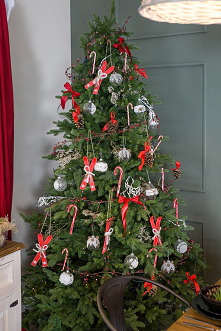 Czerwona choinka w jadalni z drewnianą komodą oraz stołem z krzesłami z litego drewna sosnowego.
#meblewoskowane #drewno #mebledrewniane #sypialnia #wnętrza #aranażacje #święta ...