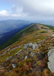 W drodze na szczyt :)