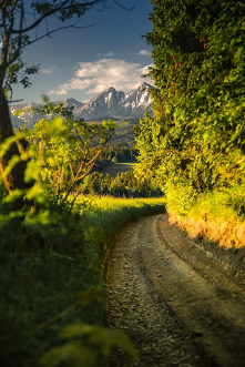 Fot. Fotografia Paweł Uchorczak