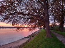 jesienny spacer polecam każdemu. nigdy nie ma dwóch takich samych zachodów słońca