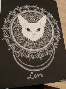 Mandala Cat Devon rex