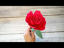 Dekoracja ślubna - peonie z krepiny włoskiej