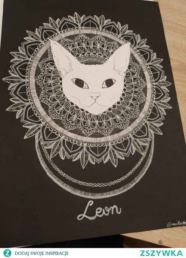 Mandala Cat Devon rex