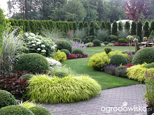 Ogród mały, ale pojemny;) - strona 126 - Forum ogrodnicze - Ogrodowisko
Ależ pięknie.
