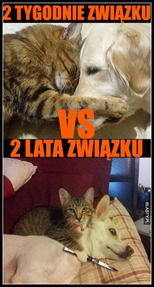 memy, śmieszne obrazki, zdj...