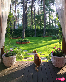 Jak dbać o leśny ogród i uczynić go pięknym miejscem do wypoczynku? Zobacz jak można odmienić ogród w lesie i jak go nawozić.