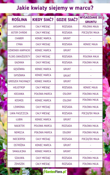 Jakie kwiaty siejemy w marcu? Spieszymy z pomocą! :) Przygotowaliśmy dla Was tabelkę ze wszystkimi kwiatami, które warto siać w tym miesiącu!
Jakie kwiaty siejemy w marcu?