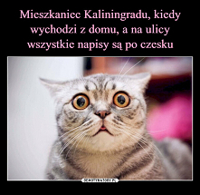 Dlaczego pokazywanie nagiego łona to jednak słaby początek wspaniałego związku - Demotywatory - Joe Monster
Dlaczego całe to grzybobranie jest dla jakichś psycholi Mandat, który...