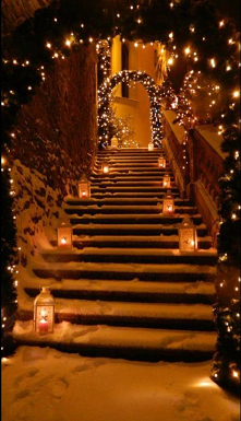 71 dni do swiat!

Jakies plany? My jedziemy na grzyby! Co prawda, moze byc za zimno, ale warto spronowac :)