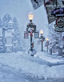 50 dni do swiat!
Polowa odliczania juz za nami! Nie do wiary jak ten czas szybko leci!