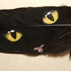 Okładka malowane na piórach