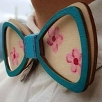 Okładka Drewniane muszki