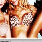 Okładka Seksowne biustonosze / Sexy bra